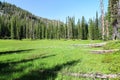 Backcountry Meadow in the Eagle Cap Wilderness, Oregon, USA