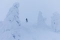 Backcountry skier pushing through the fog on a snowy slope. Ski touring in harsh winter conditions. Ski tourer sporting