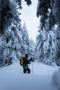 Backcountry skier pushing through the fog on a snowy slope. Ski touring in harsh winter conditions. Ski tourer sporting