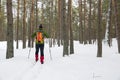 Backcountry skier in snowy forest