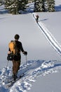 Backcountry skiers