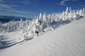 Backcountry Skiing 4