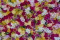 Backdrop of colorful artificial flower
