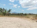 backdrop of the famous Barisan Hills in Sumatra Royalty Free Stock Photo