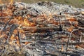 Burning wood in huge bonfire. Natural background of fire and ashes with copy space