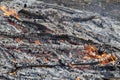 Burning wood in huge bonfire. Natural background of fire and ashes with copy space Royalty Free Stock Photo