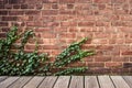 Brick exterior wall with wood floor and creepy green ivy vine.