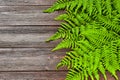 Backdrop, postcard, frame with green fern leaves on a wooden background. Minimal design. With copy space, flat lay, top view. Royalty Free Stock Photo