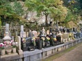 With the backdrop of a rocky outcrop and trees, colourful, flowers adorn well kept gravestones in a cemetery in Japan