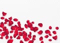Backdrop of rose petals isolated on a transparent white background. Valentine day background. Vector illustration Royalty Free Stock Photo