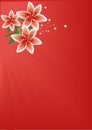 Soft Red Lilies Backdrop Portrait Royalty Free Stock Photo