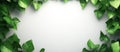 A backdrop of white is accented by green leaves, leaving room for text and embracing natural design features Royalty Free Stock Photo