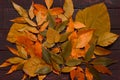 Backdrop from yellow aged leaves on dark rustic wooden background. Fall concept. Mock up for thanksgiving day. Top view. Flat lay