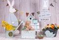 Backdrops for photo studio with Easter holiday theme Royalty Free Stock Photo