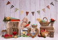 Backdrops for photo studio with Easter holiday theme Royalty Free Stock Photo