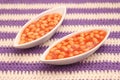 Backed beans Royalty Free Stock Photo