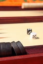 Backgammon Royalty Free Stock Photo