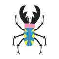 Fun multi colored beetle. Insect with big horns isolated on white background. Top view of cute bug. Royalty Free Stock Photo