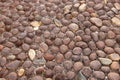 Close up of Earth tones oval pebbles road in historic Italian town