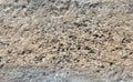 Pale gray and light brown rough weathered stone block with holes from an old wall Royalty Free Stock Photo