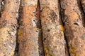 pale rough, grunge and weathered orange vertical shingles extreme close up texture background Royalty Free Stock Photo