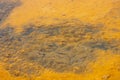 multi tone yellow colors and brown water from natural salt pans flats background