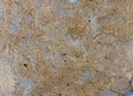 old grunge and weathered multi toned cream concrete wall background