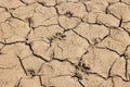 drought cracked light color argilla soil with animal foot prints background medium close up background
