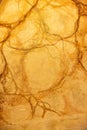 vertical semi smooth bright orange peel stucco wall texture close up with marble like patterns background Royalty Free Stock Photo