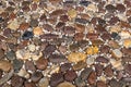 Beautiful bright earth color larger oval pebbles background floor