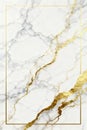 Vector illustration of premium marble background with delicate gold veins. Royalty Free Stock Photo