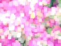 Background with abstract blurred flower azalea in meadow and bright summer sunlight.Can use as wallpaper, design. Fairy defocused