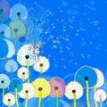 Background with abstract colorful dandelions