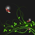 2720 background, Abstract background, floral ornament, green branch with leaves, ladybugs, wallpaper Royalty Free Stock Photo