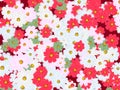 Background abstract  card pattern texture flowers Royalty Free Stock Photo