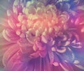 Background with an abstract rainbow flower Royalty Free Stock Photo