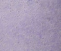Background abstract texture purple dotted pattern for design elements Royalty Free Stock Photo