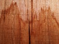 Background abstract texture of weathered and porous wood boards