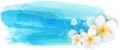 Brushed backgrounds with flowers. Blue colored.