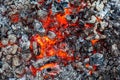 Background of actively smoldering embers and glowing coals of fire Royalty Free Stock Photo