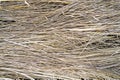 Background of a aged dry straw withered heap of grass.