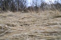 Background of a aged dry straw withered heap of grass.