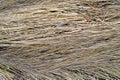 Background of a aged dry straw withered heap of grass.