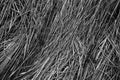 Background of a aged dry straw withered heap of grass.