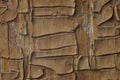 Background of aged and weathered textured wooden planks with old