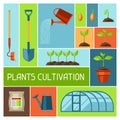 Background with agriculture objects. Instruments for cultivation, plants seedling process, stage plant growth Royalty Free Stock Photo