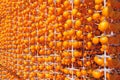 Dried persimmon production
