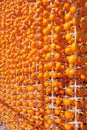 Dried persimmon production