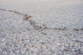 background, ants are running, problems with ants in the house Royalty Free Stock Photo