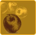 Background with apples, hand-drawing. Vector illus